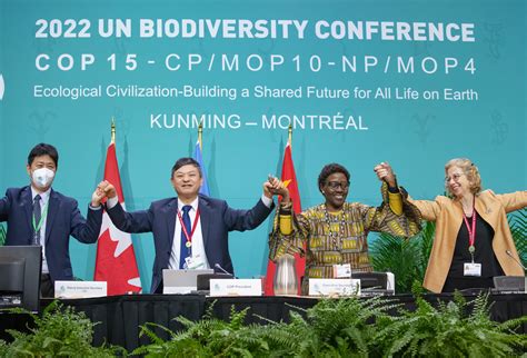 Le Sommet des Nations Unies sur la Biodiversité: Un carrefour crucial pour la conservation environnementale dirigée par Maria Ulfah Santoso